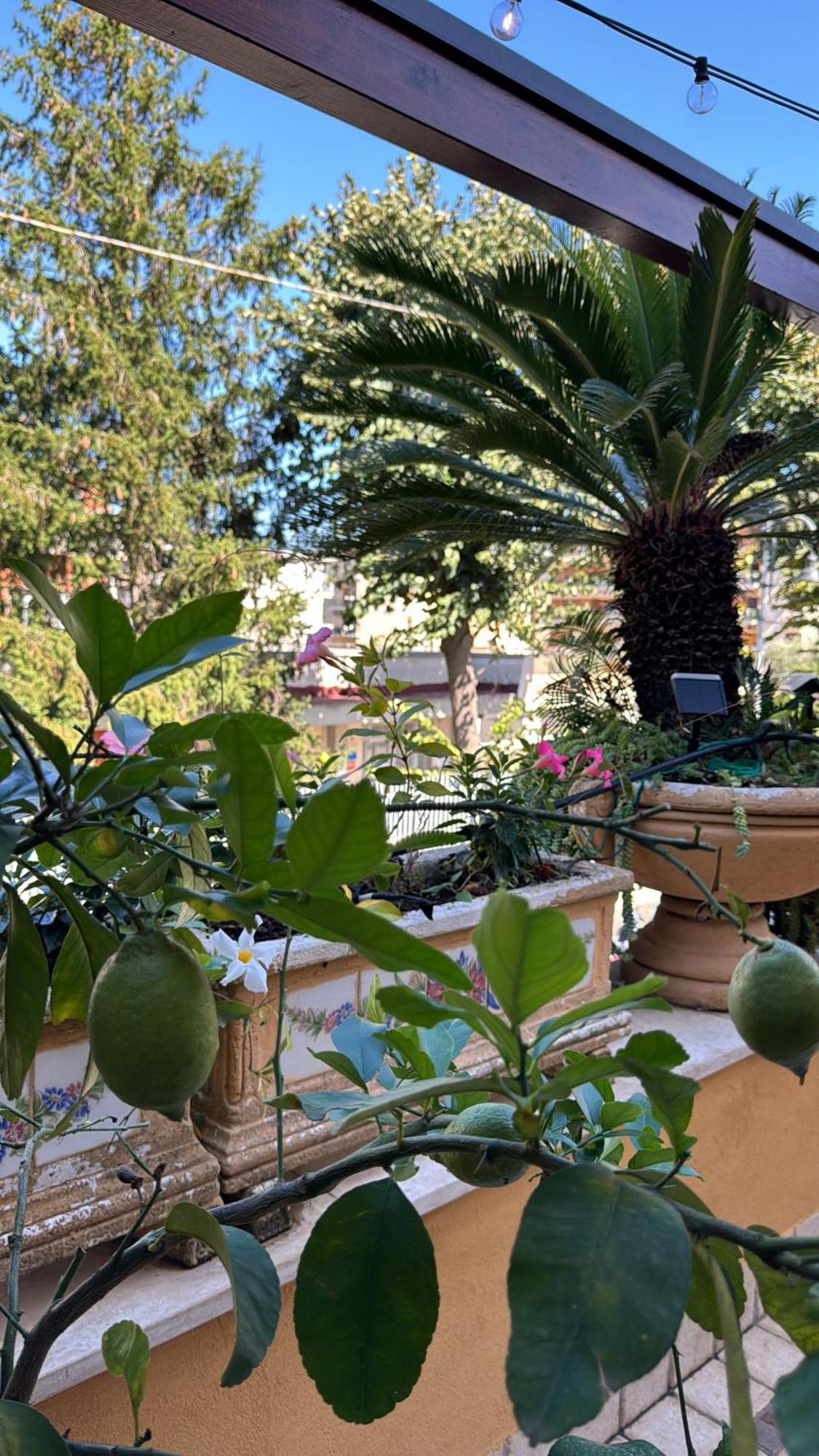 Relais Sorrento Terrace And Relax住宿加早餐旅馆 外观 照片