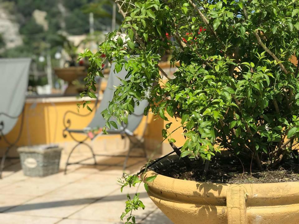 Relais Sorrento Terrace And Relax住宿加早餐旅馆 外观 照片